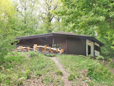 Stacks Image 80648